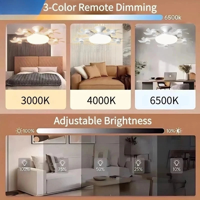 LED